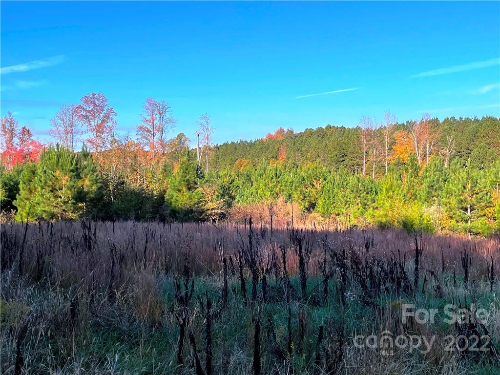 0 Collins Road, Unit +/ 84 ACRES Edgemoor, SC 29712 - Photo 4 of 7