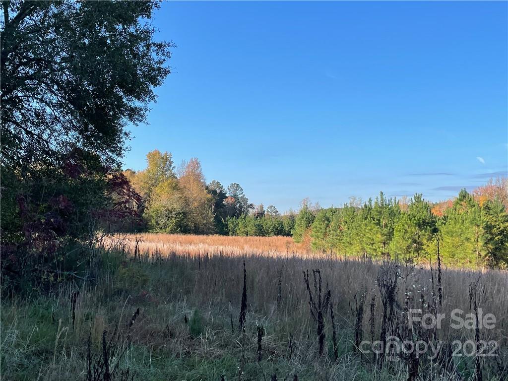 0 Collins Road, Unit +/ 84 ACRES Edgemoor, SC 29712 - Photo 5 of 7 a view of a backyard of the house