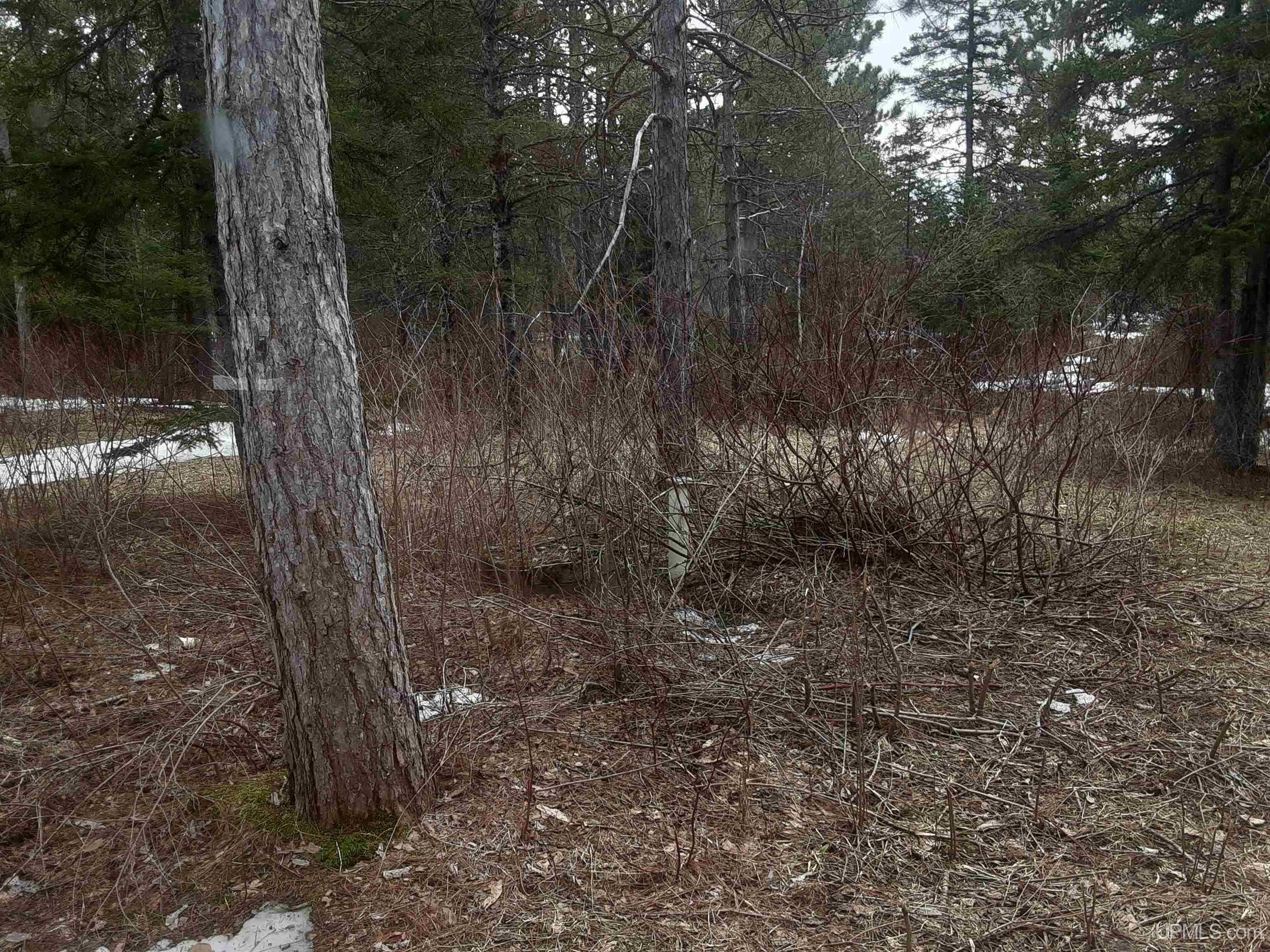 39749 Davis Road High Bridge, WI 54846 - Photo 8 of 10