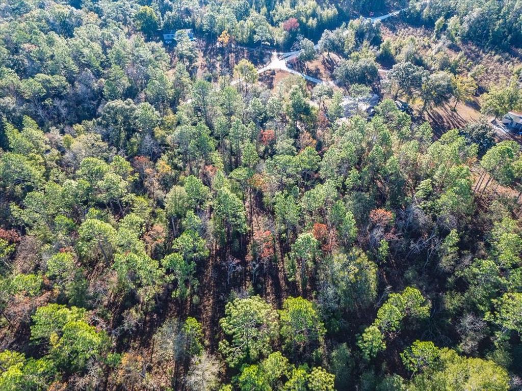 103rd Drive O'Brien, FL 32071 - Photo 14 of 20 a view of a city with lush green forest