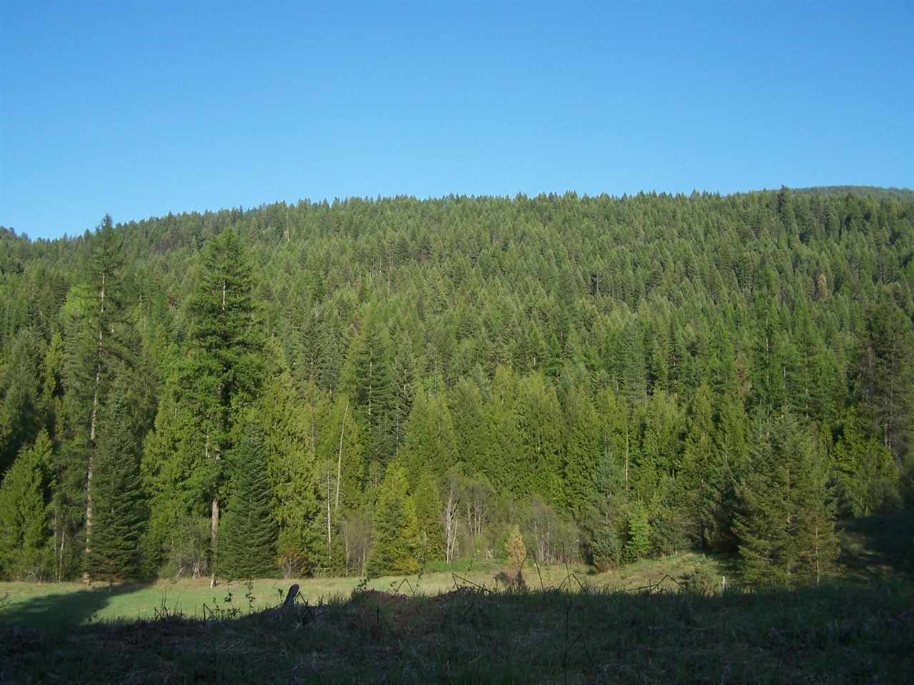 5431 Box Canyon Road Ione, WA 99139 - Photo 13 of 20 Gallery Image 13