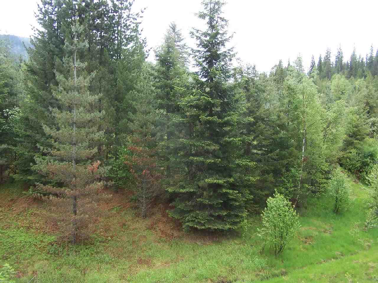 5431 Box Canyon Road Ione, WA 99139 - Photo 14 of 20 Gallery Image 14