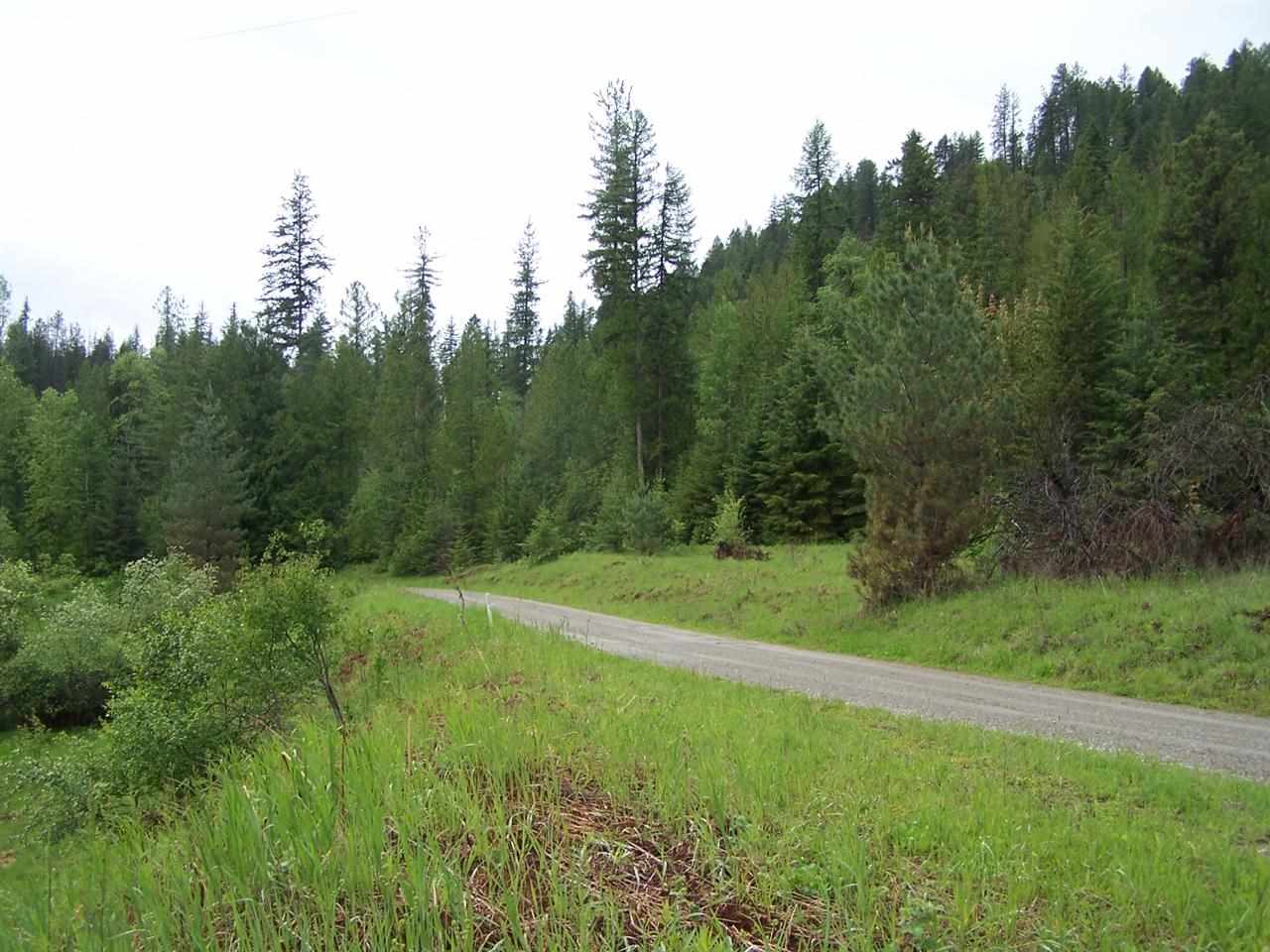 5431 Box Canyon Road Ione, WA 99139 - Photo 15 of 20 Gallery Image 15