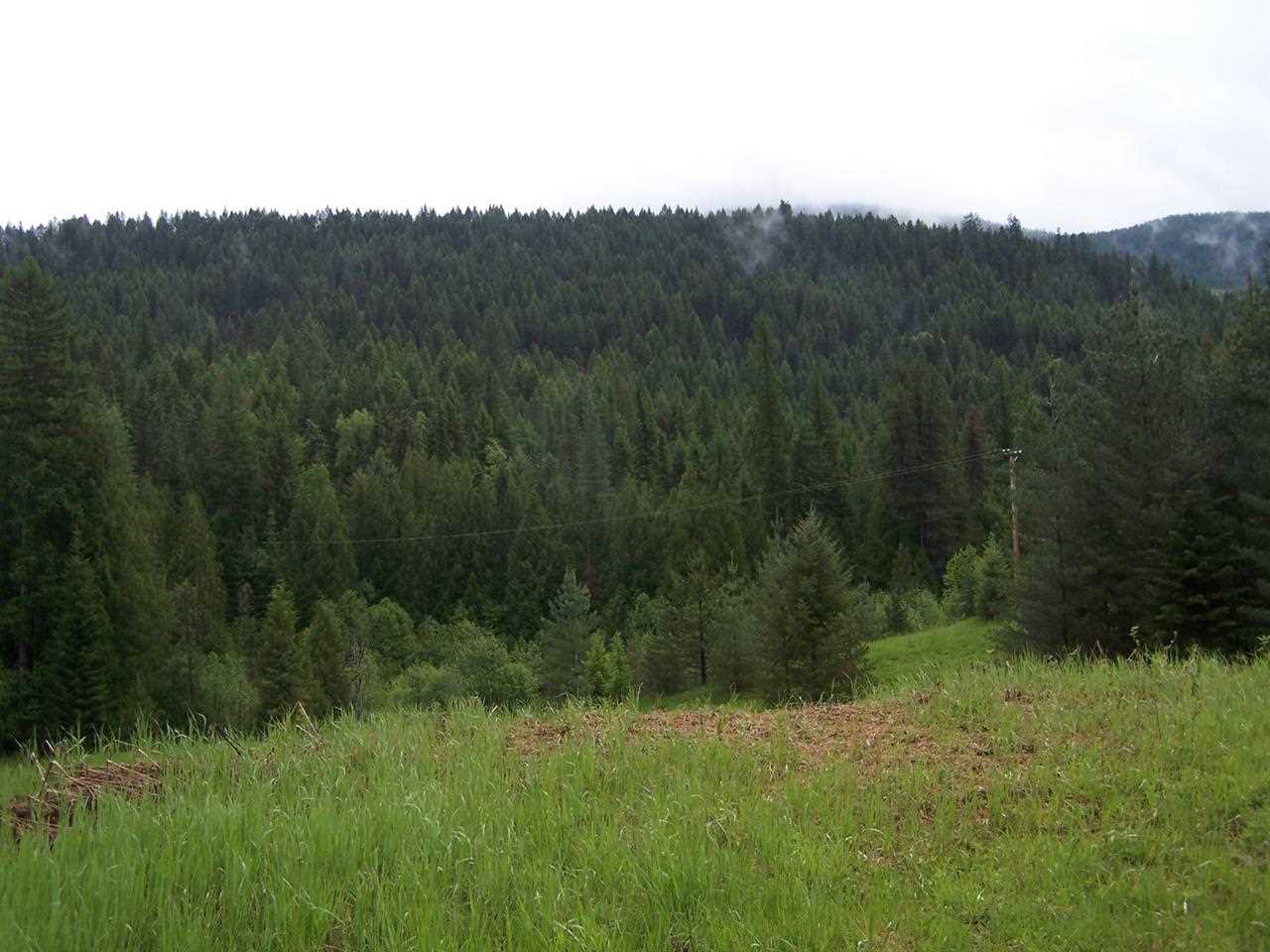 5431 Box Canyon Road Ione, WA 99139 - Photo 16 of 20 Gallery Image 16