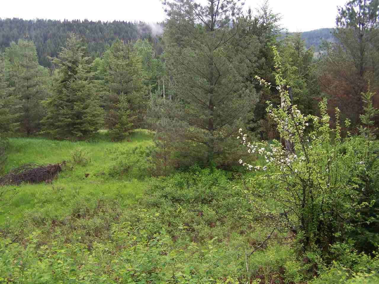 5431 Box Canyon Road Ione, WA 99139 - Photo 18 of 20 Gallery Image 18