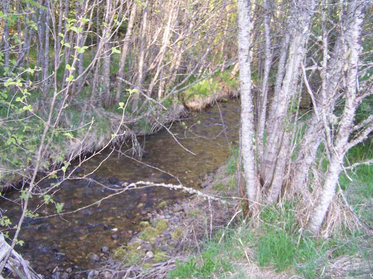5431 Box Canyon Road Ione, WA 99139 - Photo 20 of 20 Gallery Image 20