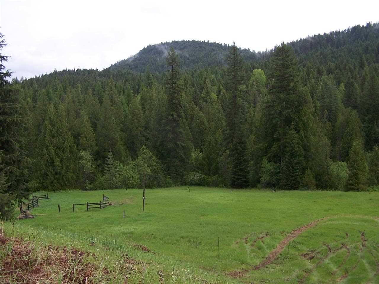 5431 Box Canyon Road Ione, WA 99139 - Photo 5 of 20 Gallery Image 5