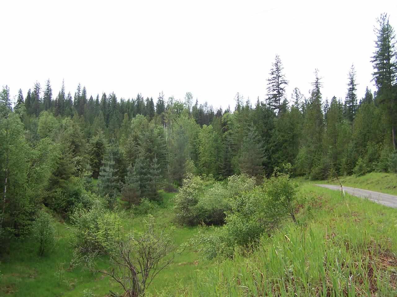 5431 Box Canyon Road Ione, WA 99139 - Photo 7 of 20 Gallery Image 7