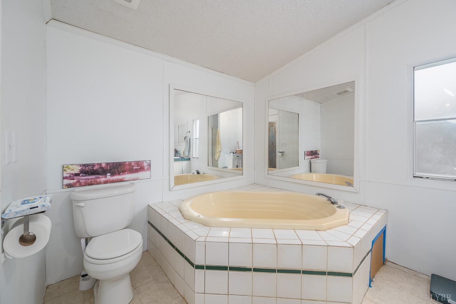 1105 Veteran Road Vinton, VA 24179 - Photo 24 of 37 a bathroom with a sink a toilet and a mirror