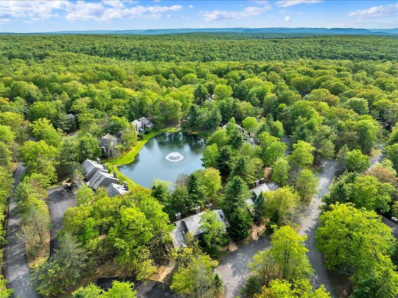 a view of a garden with an outdoor space