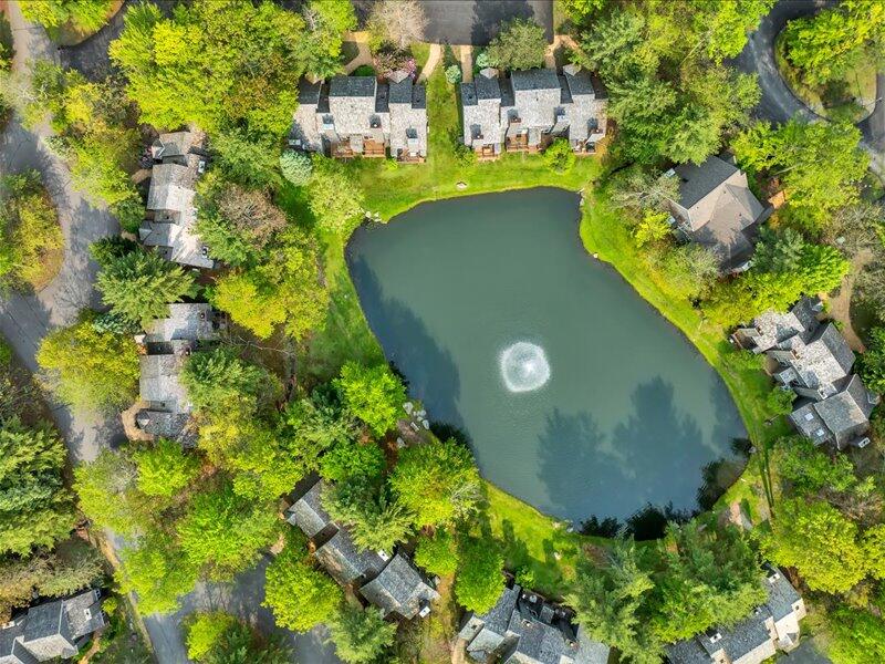 216 Snow Ridge Cir Lake Lake Harmony, PA 18624 - Photo 26 of 43 a view of a garden with a flower