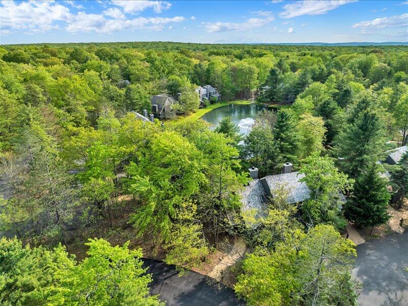 216 Snow Ridge Cir Lake Lake Harmony, PA 18624 - Photo 27 of 43 a view of a garden