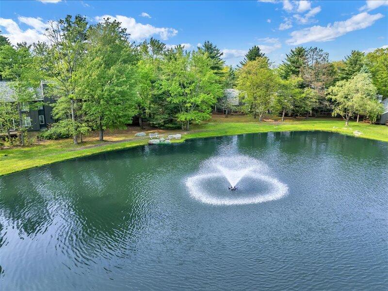 216 Snow Ridge Cir Lake Lake Harmony, PA 18624 - Photo 29 of 43 a view of a lake with a yard and large trees