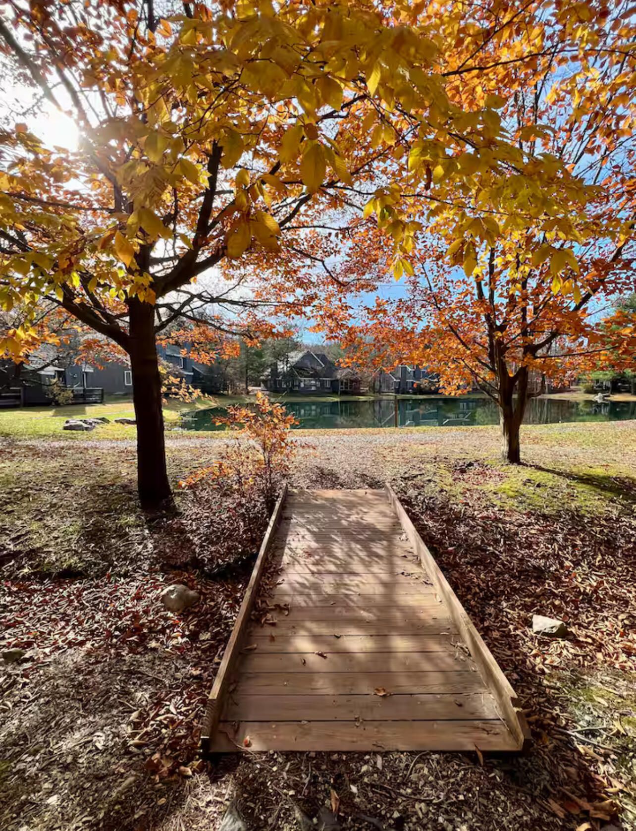 216 Snow Ridge Cir Lake Lake Harmony, PA 18624 - Photo 30 of 43 a view of a yard with an outdoor space