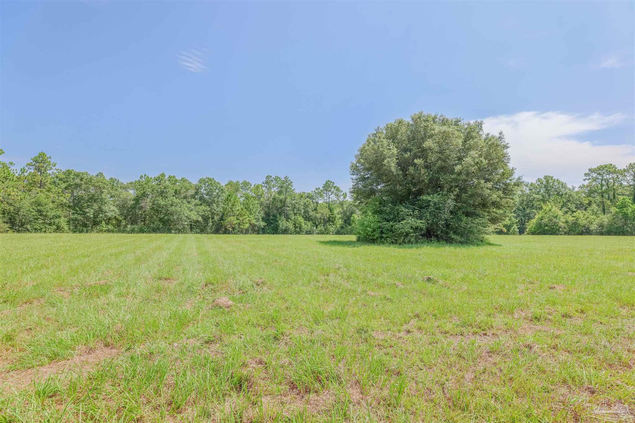 1400 Jacks Branch Road Cantonment, FL 32533 - Photo 10 of 18