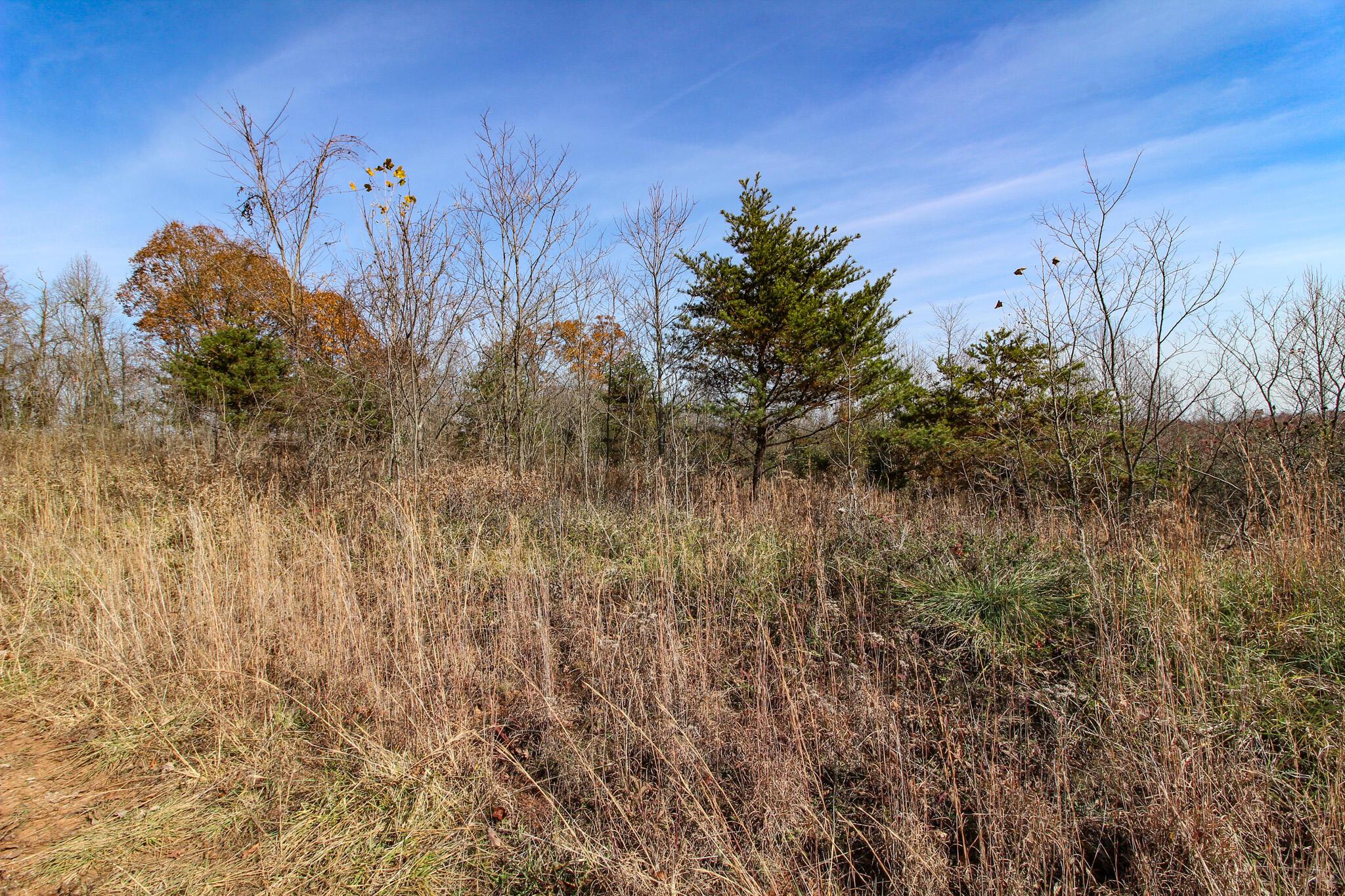 53166 Highway 681 Reedsville, OH 45772 - Photo 8 of 34 Lott 8