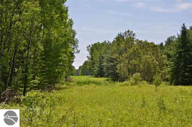 3760 County Line Road East Kingsley, MI 49649 - Photo 18 of 22 1734667-17.JPG