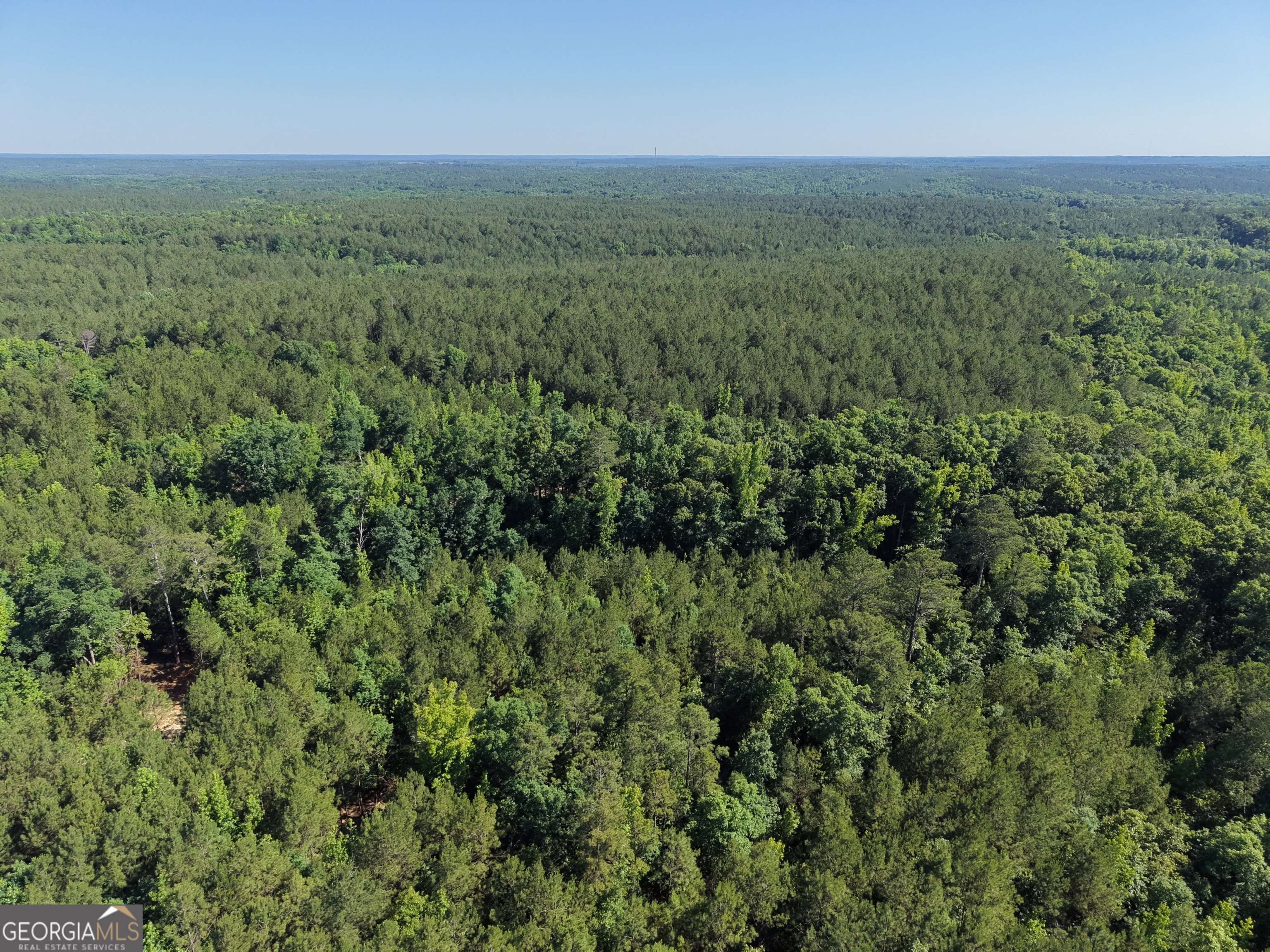 2787 Cedar Creek Road Elberton, GA 30635 - Photo 27 of 88