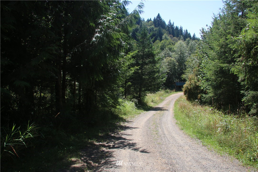 240 Duncan Road Kelso, WA 98626 - Photo 7 of 7 Gallery Image 7