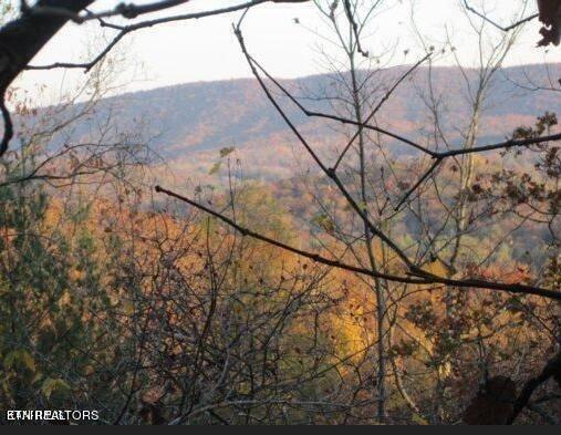 Green Ridge Trail, Unit 37 Harriman, TN 37748 - Photo 7 of 7 7