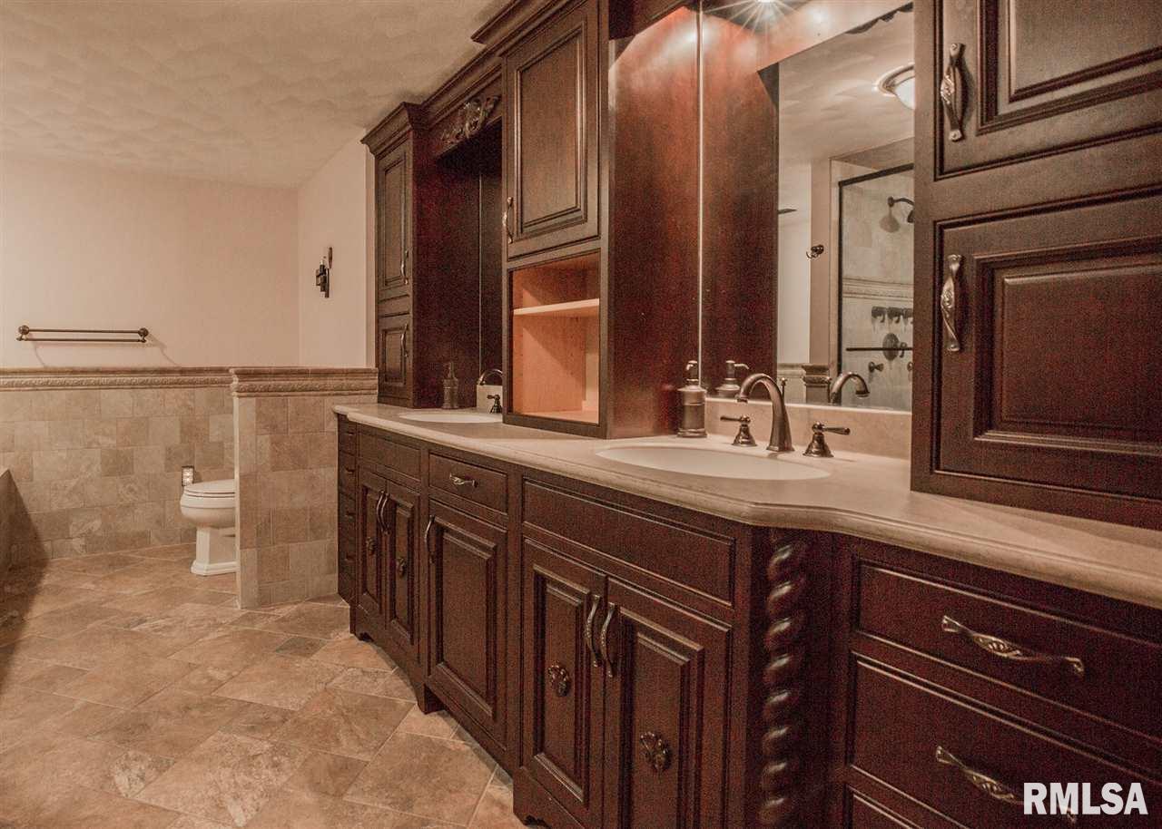 14163 Wolf Road Geneseo, IL 61254 - Photo 13 of 24