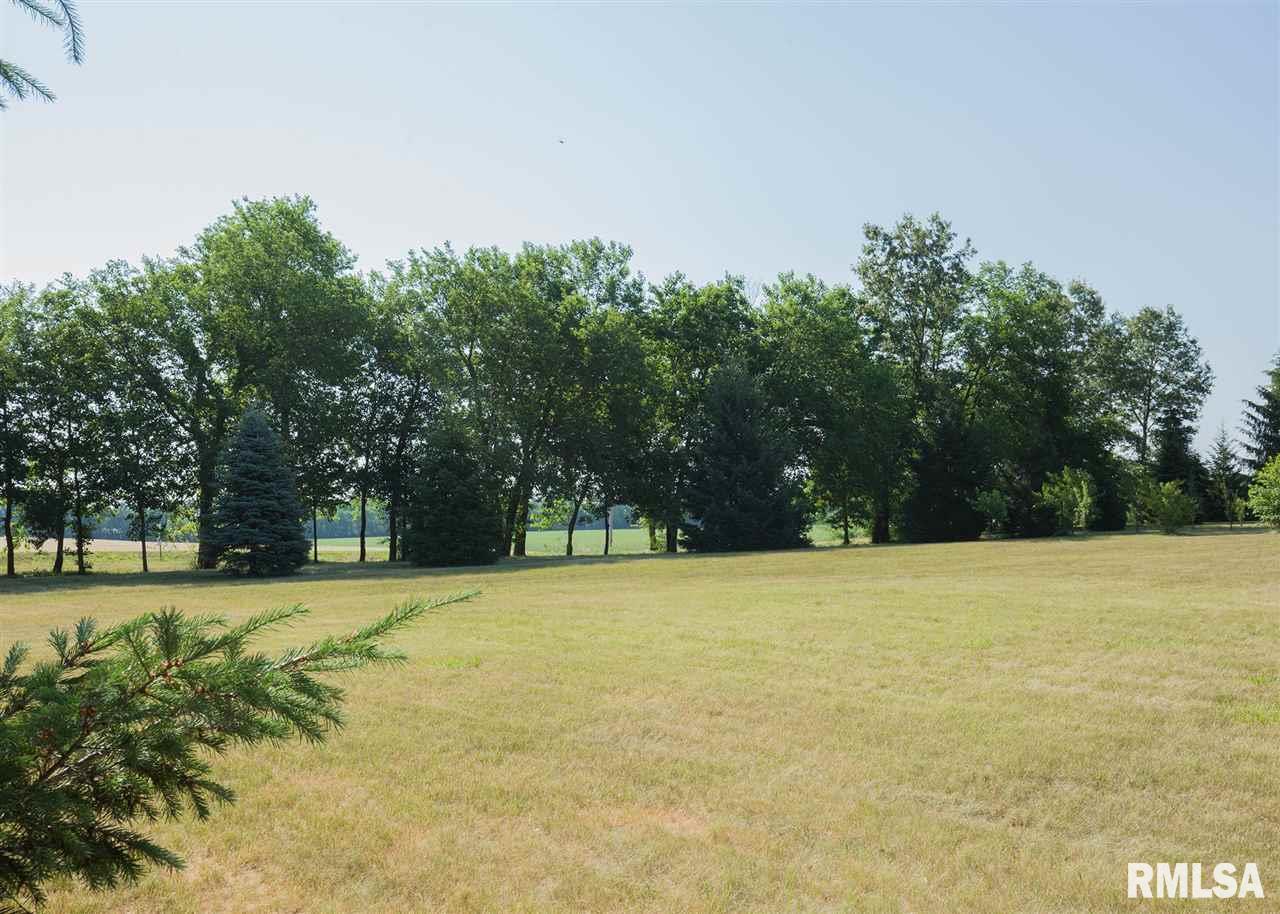 14163 Wolf Road Geneseo, IL 61254 - Photo 3 of 24