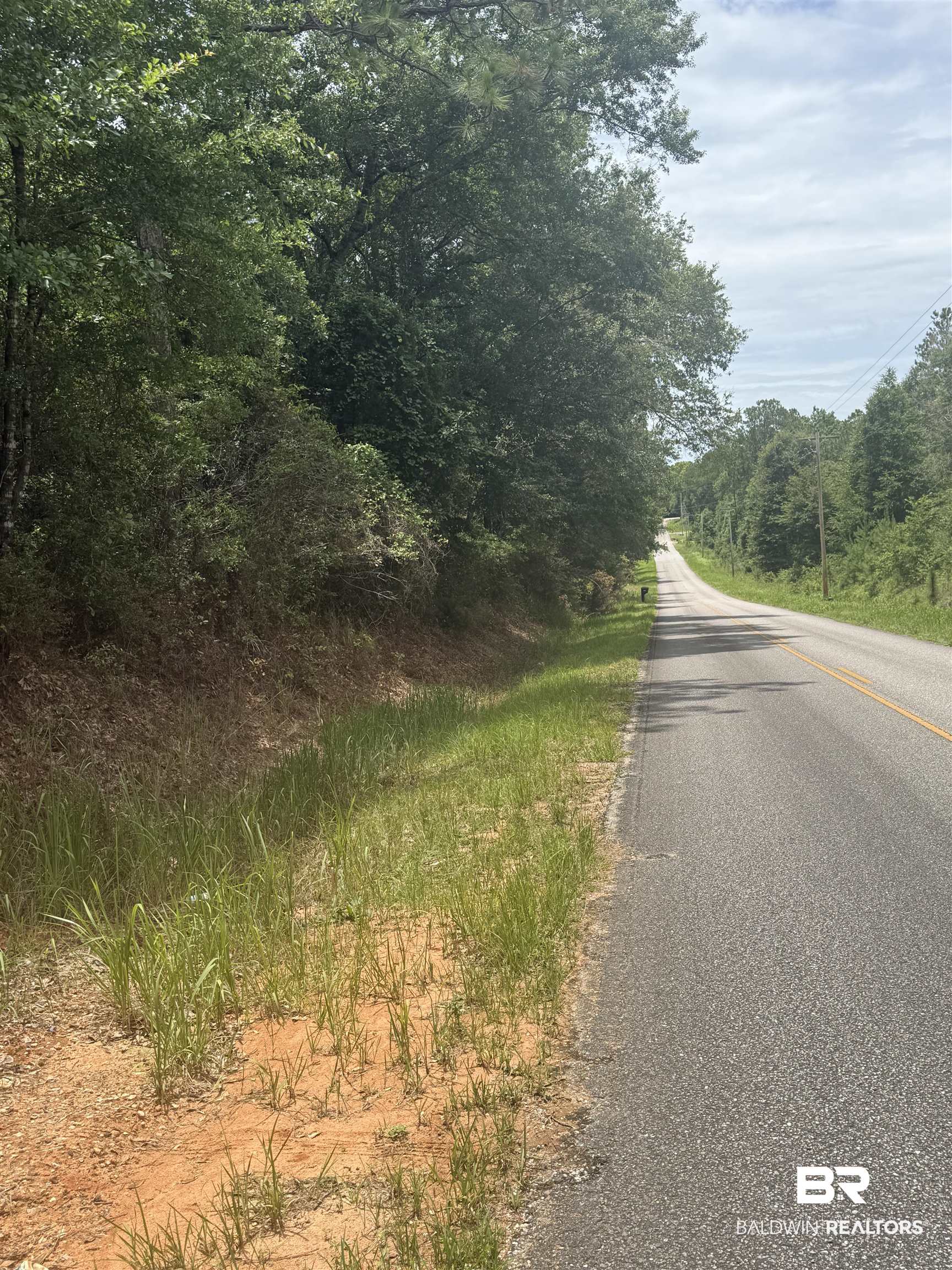29607 Fox Branch Road Loxley, AL 36551 - Photo 3 of 5