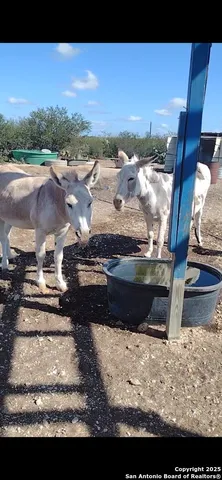 $155,000 | 1588 Private Road 1688, Moore, TX 78057