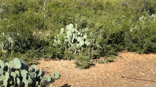 $155,000 | 1588 Private Road 1688, Moore, TX 78057