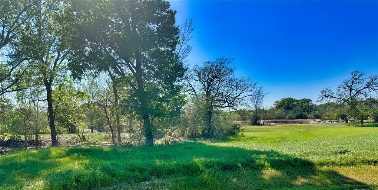 a view of a grassy field with trees in the background