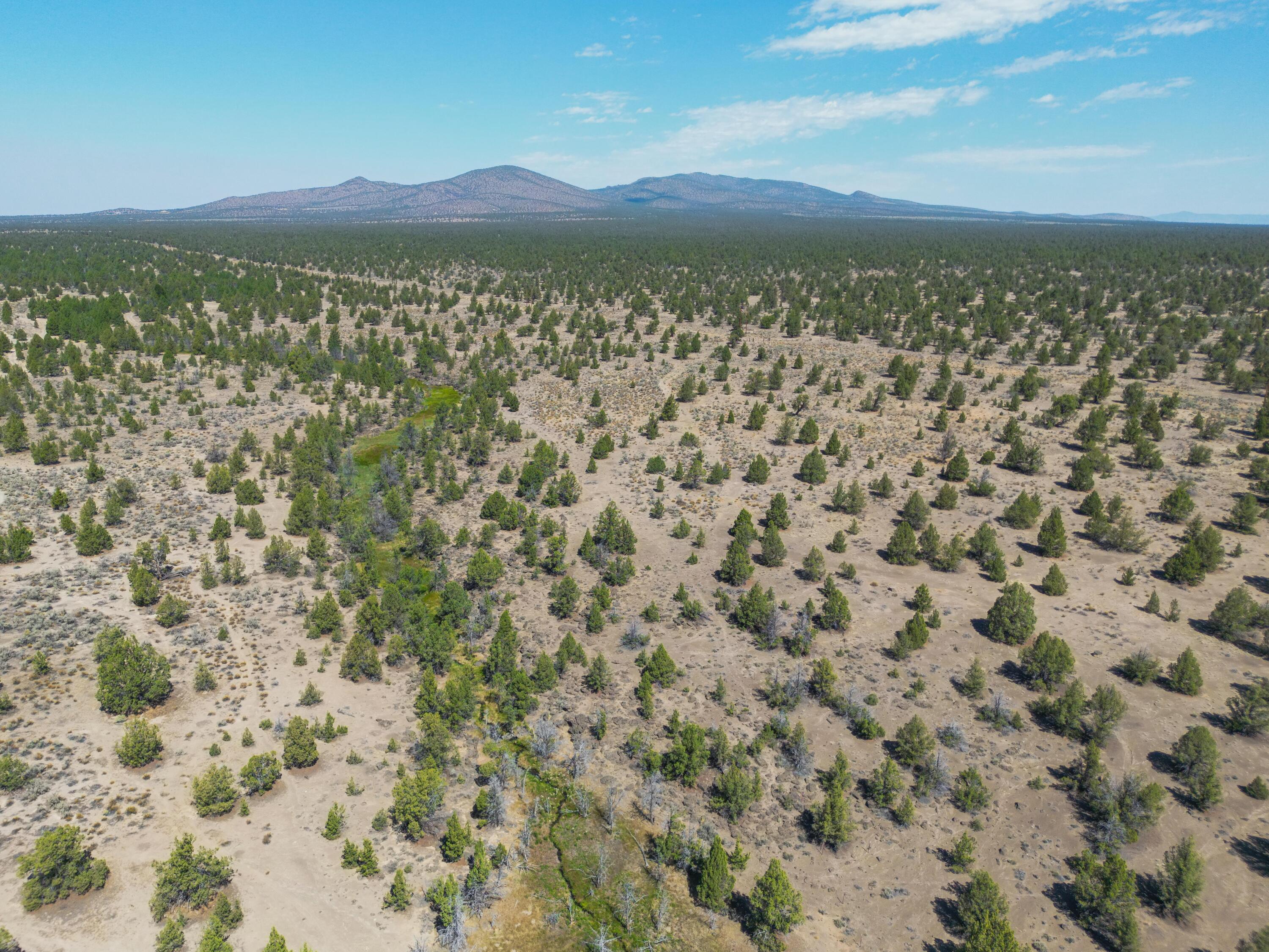 26720 Horsell Road Bend, OR 97701 - Photo 58 of 75 26720 Horsell-52