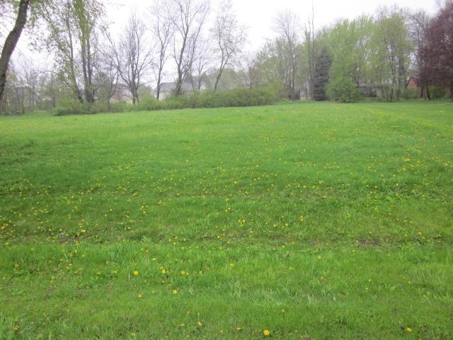 1601 Larchmont Road Lake Summerset, IL 61019 - Photo 1 of 13 a view of field with trees in the background