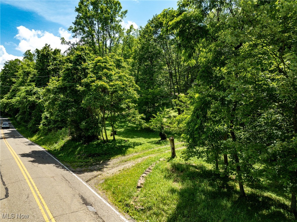 59900 Ramsey Ridge Road Jacobsburg, OH 43933 - Photo 3 of 35 View of asphalt street