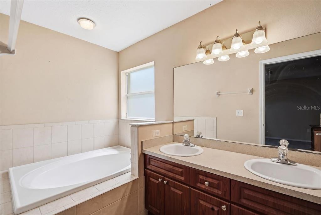 3005 West Chestnut Street Tampa, FL 33607 - Photo 16 of 27 a bathroom with a sink a tub and a mirror
