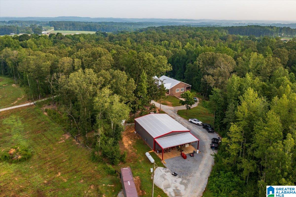12414 County Road 49 Heflin, AL 36264 - Photo 21 of 63