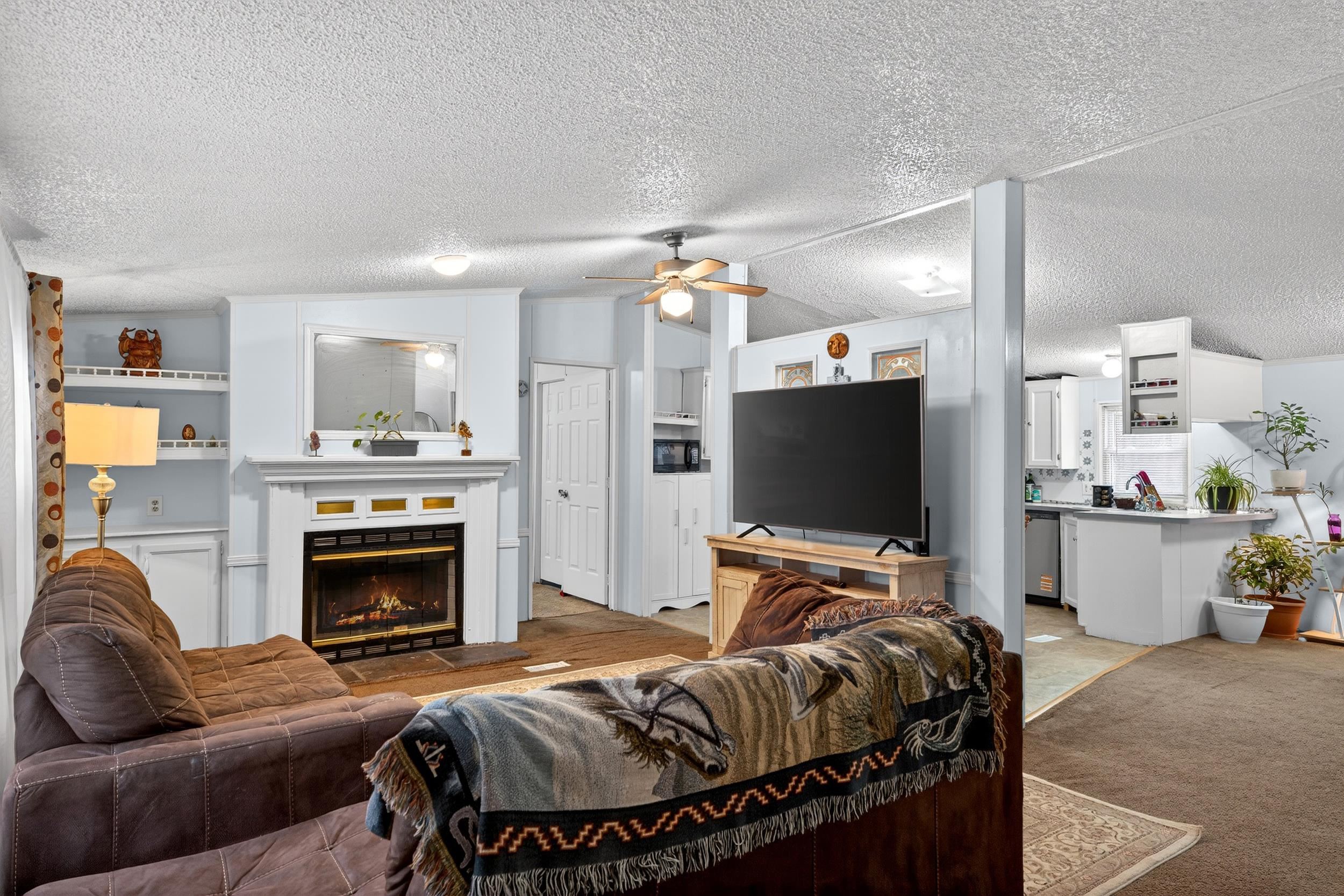 516 Green Willow Drive Inman, SC 29349 - Photo 9 of 29