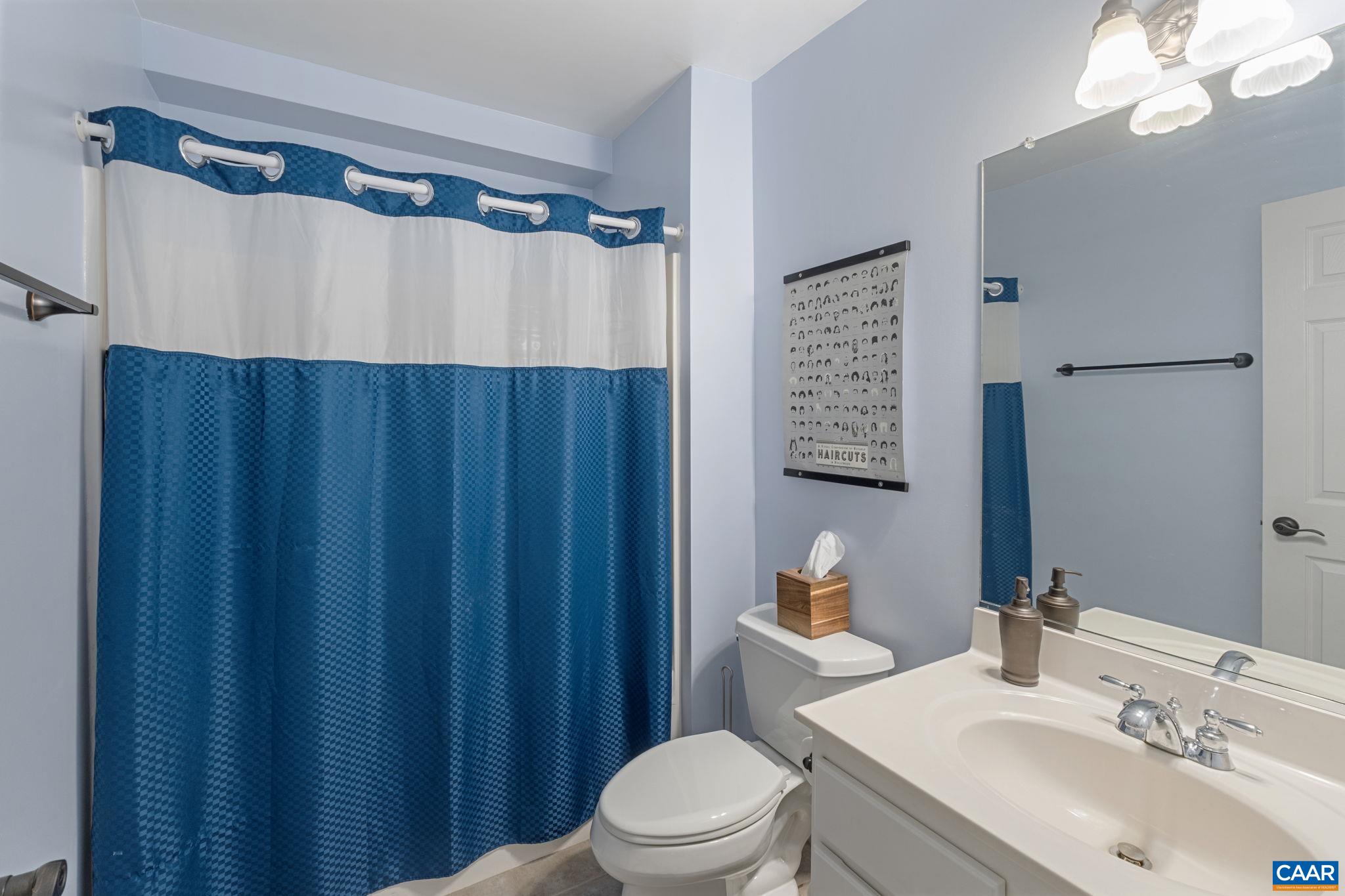 2370 Walnut Ridge Lane Charlottesville, VA 22911 - Photo 40 of 61 a bathroom with a sink a toilet and shower curtain