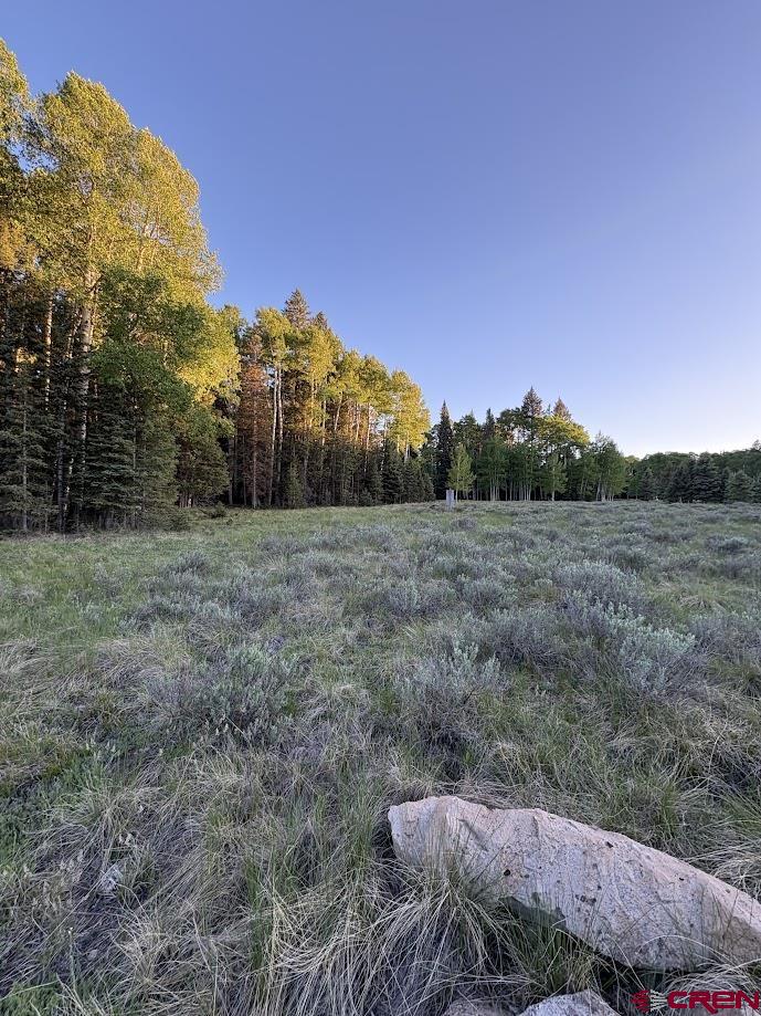 2150 Spruce Road Cimarron, CO 81220 - Photo 1 of 6 a view of a field