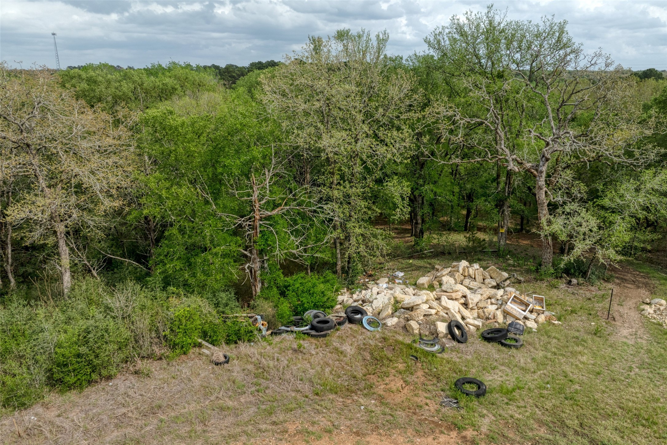 Tbd Ripple Brook Drive Bastrop, TX 78602 - Photo 4 of 15 a view of a yard with a tree