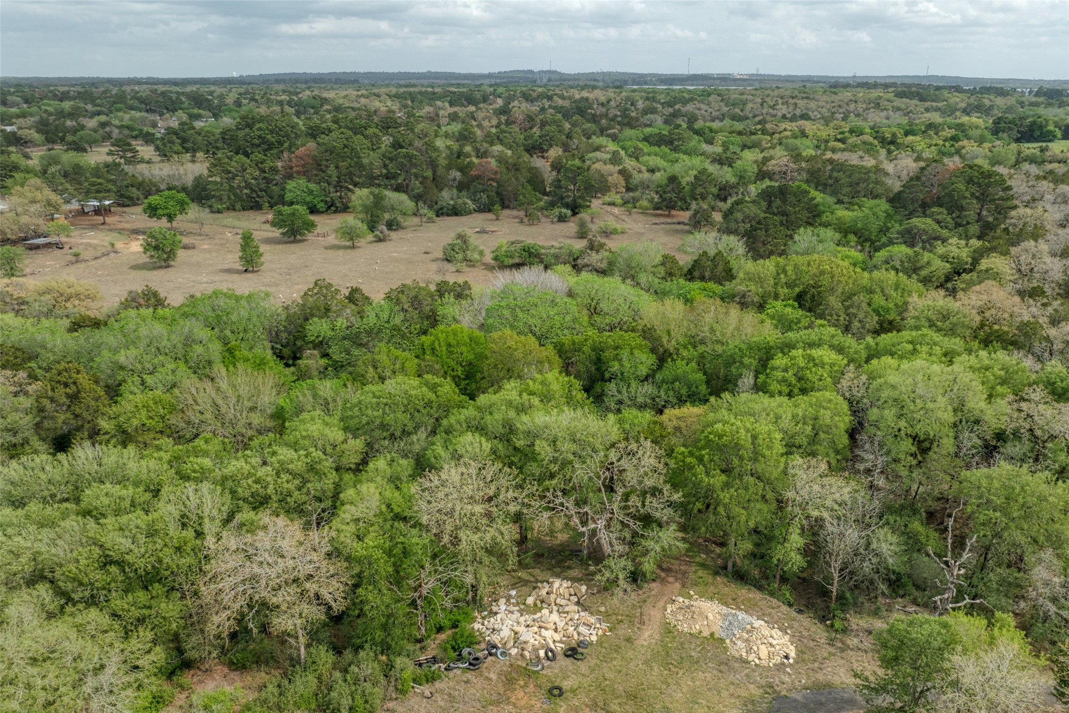 Tbd Ripple Brook Drive Bastrop, TX 78602 - Photo 5 of 15 a view of a forest with a yard