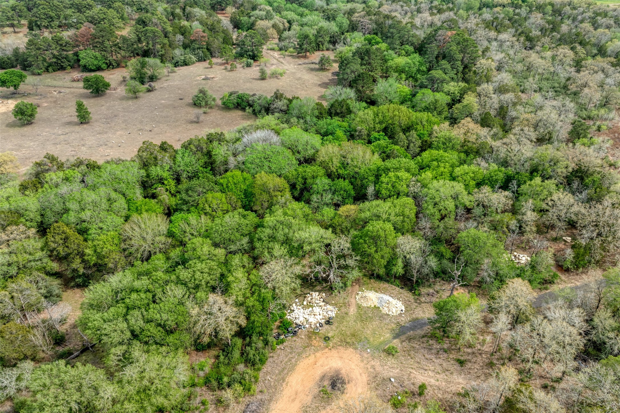 Tbd Ripple Brook Drive Bastrop, TX 78602 - Photo 6 of 15 a view of a road with a yard