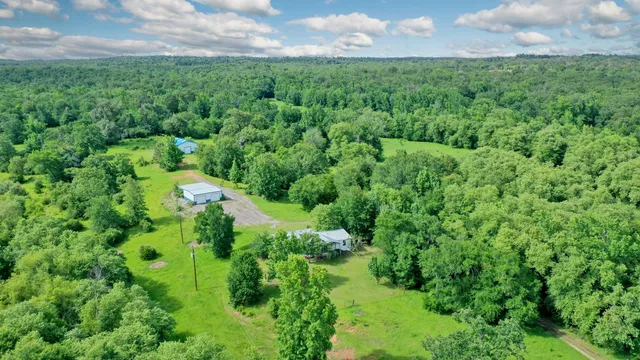 a view of a yard and lots of green space