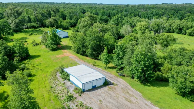 a view of a lush green forest with lots of trees