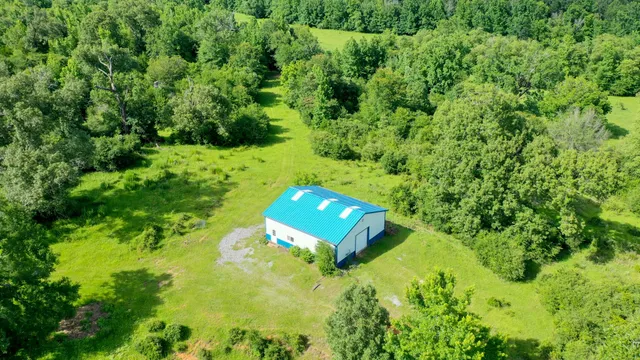 a view of a garden with an outdoor space