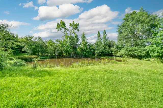 a view of yard with green space