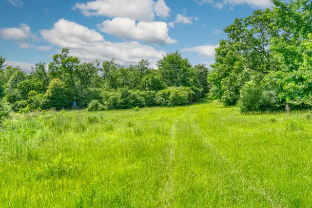 a big yard with lots of green space and trees