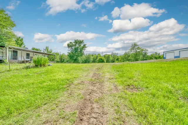 a view of a big yard with plants and large trees
