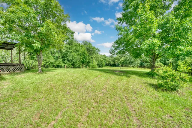 a view of a green yard