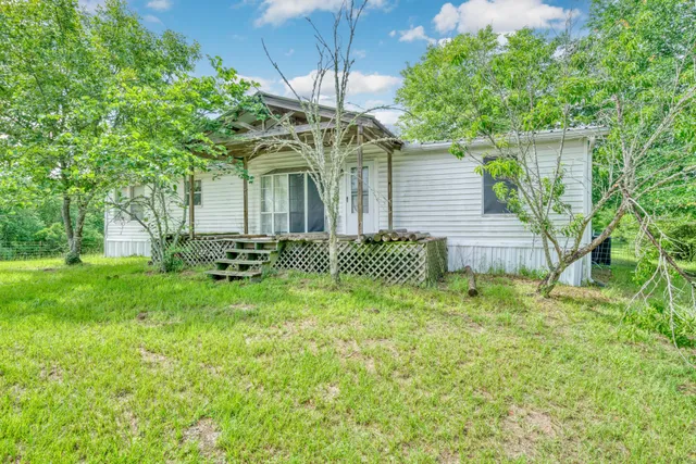 a backyard of a house with plants and large tree