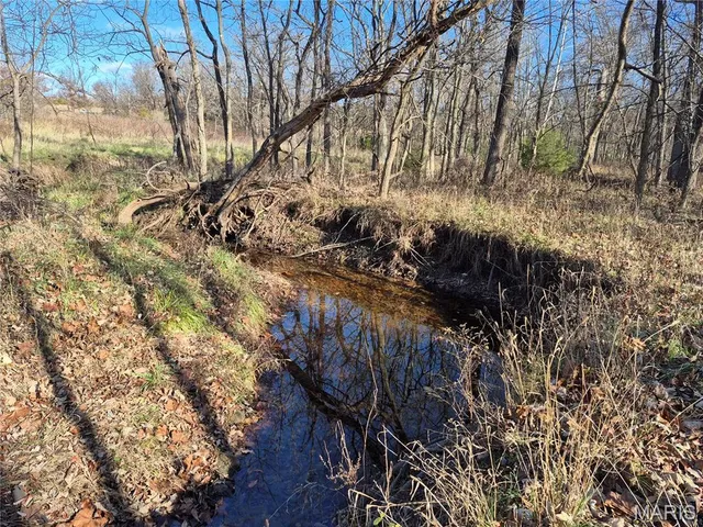 $242,000 | 0 County Road 197, Montgomery City, MO 63361